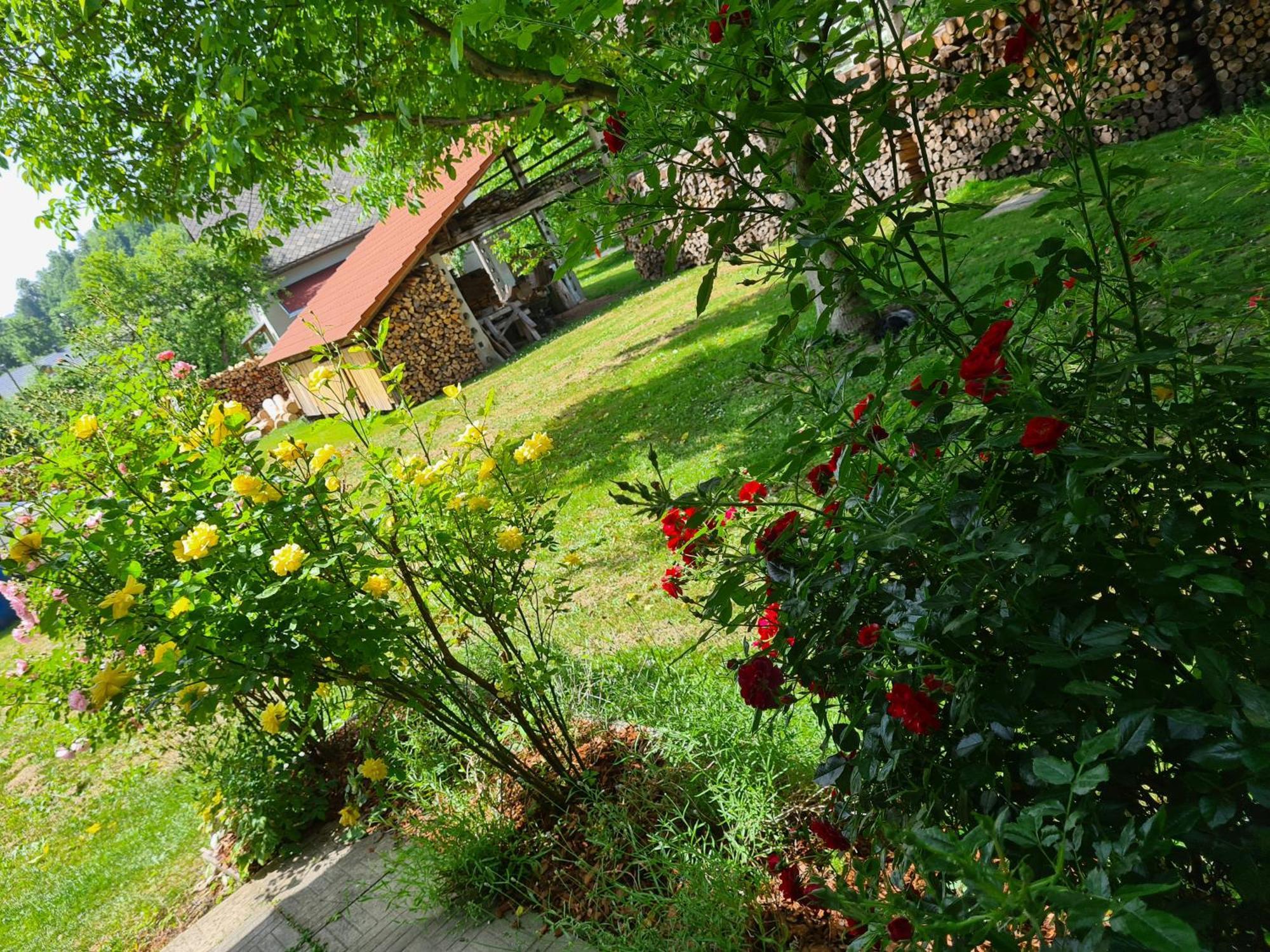 Bed and Breakfast Gostilna Batist Bohinjska Bela Zewnętrze zdjęcie